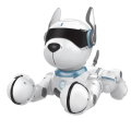 ROBOPES